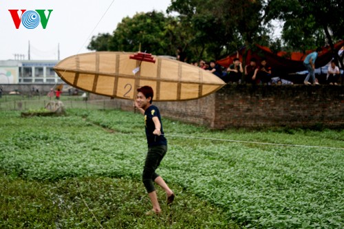Vietnam's thousand-year-old kite-making village - ảnh 5